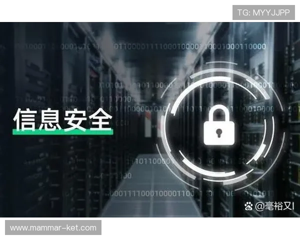 云顶新耀官网下载官方渠道，确保软件安全无病毒的完整流程