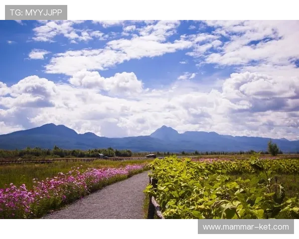 真人斗牛网址大全提供最全最新的正规平台推荐让你轻松体验真实刺激的斗牛娱乐体验