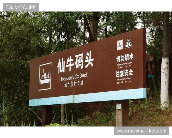 开云真人在哪里玩介绍，2026年最受欢迎的娱乐场所推荐