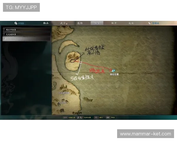 亚星网络百家家乐游戏攻略详解提升你的胜率与盈利能力