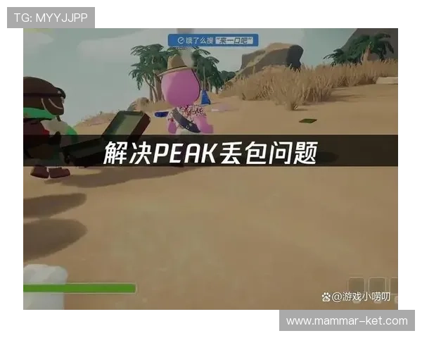 百家le最稳缆法新手必看，掌握核心技巧提升游戏体验与操作稳定性的完整指南