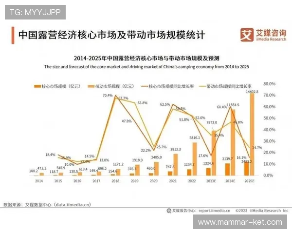dg视讯长期盈利能力分析：影响其持续盈利的核心因素与市场趋势
